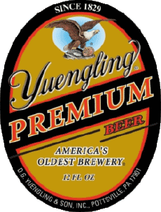 Boissons Bières USA Yuengling 
