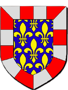 Bandiere Francia Dipartimenti - Città 37 Indre et Loire 