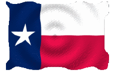 Bandiere America U.S.A - Stati Texas Sventola 