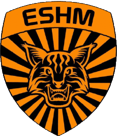 Sportivo Calcio  Club Francia Grand Est 88 - Vosges ES de la Haute Meurthe 