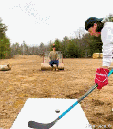 Humour - Fun Sports Hockey Win Fun 