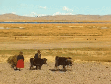 Multi Média Chaines -  TV France Voyage Jingle Pub 