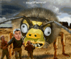 Humor - Fun Animales Insectos 01 