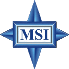 Multi Media Computer - Hardware M S I 