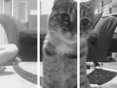 Umorismo -  Fun Effetti 3d 3D - Linee - Bande 