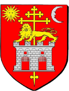 Banderas Francia Departamentos - Ciudades 81 ALBI 