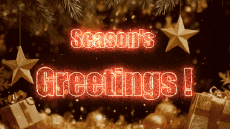 Messages Anglais Season's Greetings Video 
