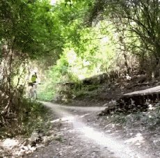 Humor -  Fun Sport Mountainbiking Fail 02 