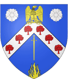 Banderas Francia Departamentos - Ciudades 75 Paris Distrito 8 