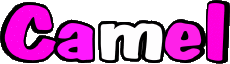 Prénoms MASCULIN - Maghreb Musulman C Camel 