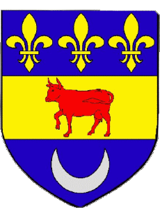 Bandiere Francia Dipartimenti - Città 11 COURSAN 