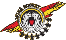 Sport Eishockey Schweden Lulea HF 