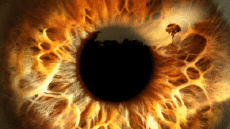 Multimedia Canali - TV Francia Ushuaïa TV Jingle Pub 