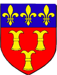 Bandiere Francia Dipartimenti - Città 19 TULLE 