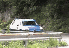 Humor - Fun Transporte Coches Accidente de rally fallido 