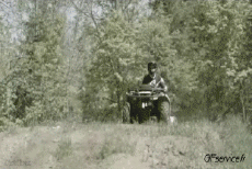 Humor - Fun Transporte Quad Fun - Win 