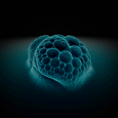 Humour - Fun GIF Artistes Connor Bell 