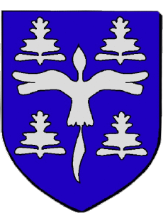 Drapeaux France Départements - Villes 974 SALAZIE 