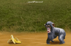 Humor -  Fun Tiere Affen 01 