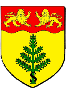 Blasón-Banderas Francia Departamentos - Ciudades 50 SAVIGNY LE VIEUX 