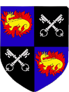 Blasón-Banderas Francia Departamentos - Ciudades 41 ROMORANTIN LANTHENAY Blasón