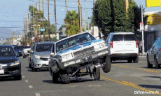 Humor -  Fun Transport Autos Lowriding 