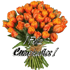Messages Spanish Feliz Cumpleaños Floral Transparent Background 012 