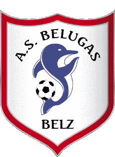 Deportes Fútbol Clubes Francia Bretagne 56 - Morbihan AS les Belugas Belz 