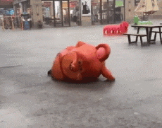 Humor -  Fun In the street Mix 02 