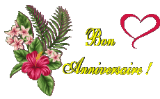 Mensajes Francés Bon Anniversaire Floral Fondo transparente 007 