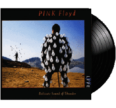 Delicate Sound of Thunder-Multi Media Music Pop Rock Pink Floyd Delicate Sound of Thunder