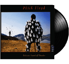 Delicate Sound of Thunder-Multi Media Music Pop Rock Pink Floyd 