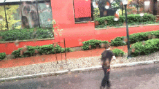 Humour - Fun Dans La Rue Mix 02 