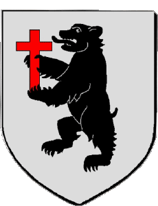 Banderas Francia Departamentos - Ciudades 34 SAINT GELY DU FESC 