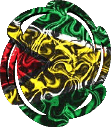 Flags America Guyana Form 01 