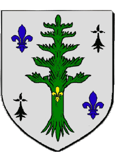 Blazon-Flags France Departments - Cities 44 VERTOU 