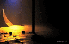 Humour - Fun Sports Skateboard Free Style Fun - Win 03 