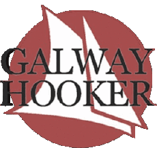 Bebidas Cervezas Irlanda Galway-Hooker 