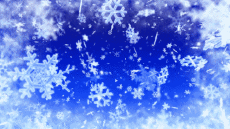 Messages Anglais Season's Greetings Video 