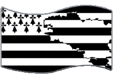 Banderas Francia Regiones Bretaña Rectángulo 