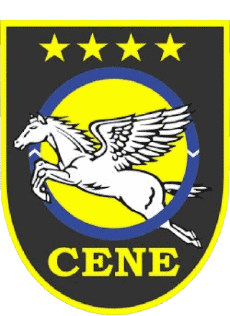 Sports FootBall Club Amériques Logo Brésil Mato Grosso do Sul Clube Esportivo Nova Esperança 