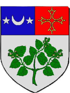 Wappen-Fahnen Frankreich Abteilungen - Städte 09 LAVELANET Wappen