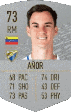 Multimedia Videogiochi F I F A - Giocatori carte Venezuela Juan Pablo Añor 