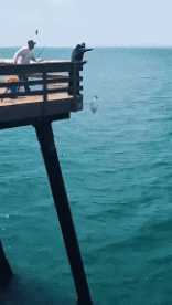 Humor - Fun GENTE Pescadores Fun Fail 