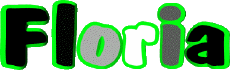 Vorname WEIBLICH - Frankreich F Floria 