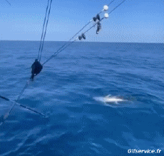 Humor -  Fun PEOPLE Fishermen Fun Fail 