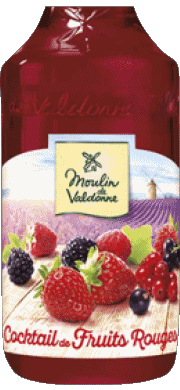 Getränke Sirup Moulin de Valdonne 