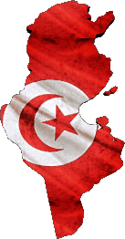 Drapeaux Afrique Tunisie Carte 