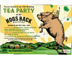 Getränke Bier UK Hogs Back 