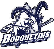 Sport Eishockey Frankreich Courchevel Méribel Pralognan Bouquetins 